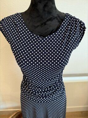 Enfocus Studio Navy and White Polka Dot Dress